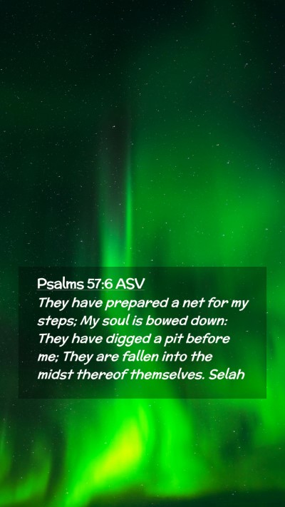 Picture 02 - Psalms 57:6 ASV Mobile Phone Wallpaper - They have prepared a net for my steps; My soul is - Mobile Bible Verse Wallpaper