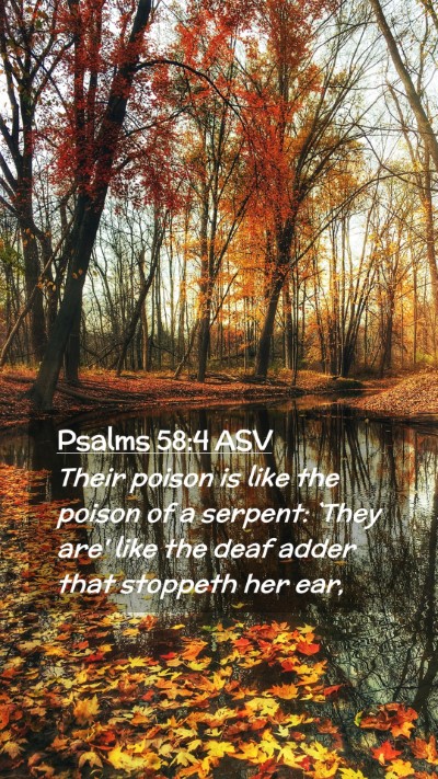 Picture 02 - Psalms 58:4 ASV Mobile Phone Wallpaper - Their poison is like the poison of a serpent: - Mobile Bible Verse Wallpaper