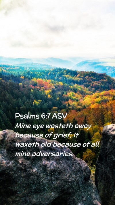 Picture 02 - Psalms 6:7 ASV Mobile Phone Wallpaper - Mine eye wasteth away because of grief; It waxeth - Mobile Bible Verse Wallpaper