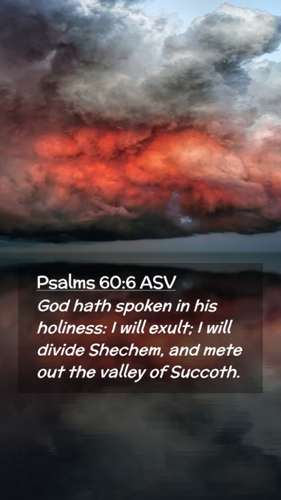 Picture 02 - Psalms 60:6 ASV Mobile Phone Wallpaper - God hath spoken in his holiness: I will exult; I - Mobile Bible Verse Wallpaper