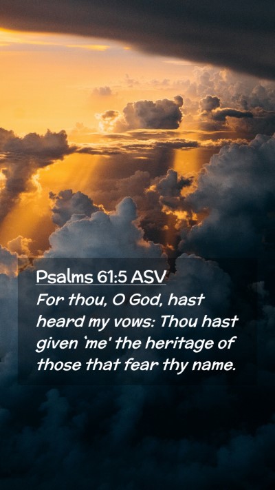 Picture 02 - Psalms 61:5 ASV Mobile Phone Wallpaper - For thou, O God, hast heard my vows: Thou hast - Mobile Bible Verse Wallpaper