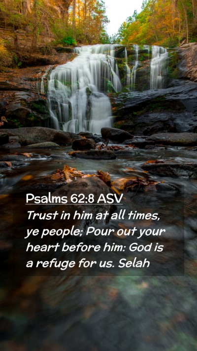 Picture 02 - Psalms 62:8 ASV Mobile Phone Wallpaper - Trust in him at all times, ye people; Pour out - Mobile Bible Verse Wallpaper