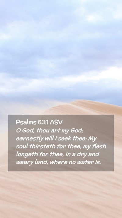 Picture 02 - Psalms 63:1 ASV Mobile Phone Wallpaper - O God, thou art my God; earnestly will I seek - Mobile Bible Verse Wallpaper