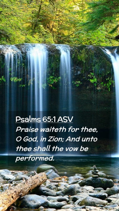 Picture 02 - Psalms 65:1 ASV Mobile Phone Wallpaper - Praise waiteth for thee, O God, in Zion; And unto - Mobile Bible Verse Wallpaper