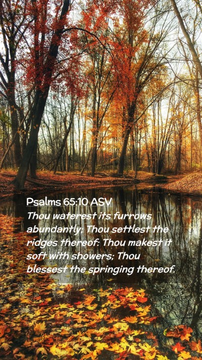 Picture 02 - Psalms 65:10 ASV Mobile Phone Wallpaper - Thou waterest its furrows abundantly; Thou - Mobile Bible Verse Wallpaper
