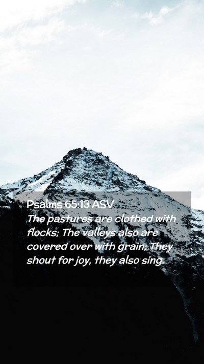 Picture 02 - Psalms 65:13 ASV Mobile Phone Wallpaper - The pastures are clothed with flocks; The valleys - Mobile Bible Verse Wallpaper