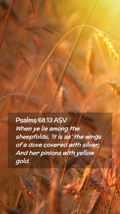 Picture 02 - Psalms 68:13 ASV Mobile Phone Wallpaper - When ye lie among the sheepfolds, `It is as' the - Mobile Bible Verse Wallpaper