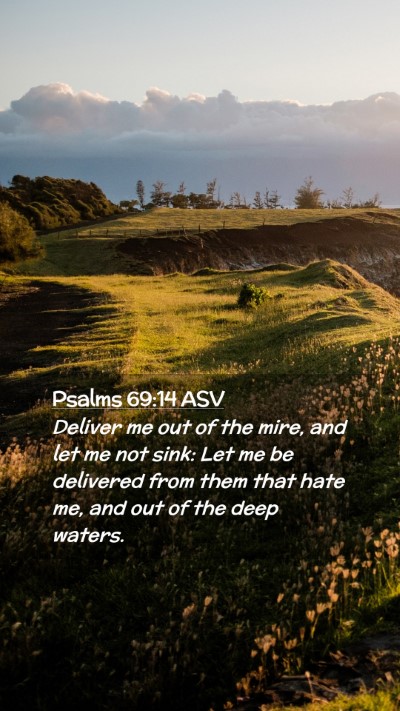 Picture 02 - Psalms 69:14 ASV Mobile Phone Wallpaper - Deliver me out of the mire, and let me not sink: - Mobile Bible Verse Wallpaper