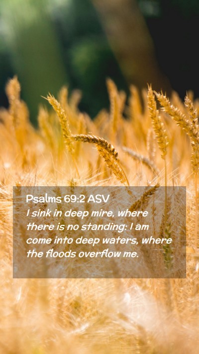 Picture 02 - Psalms 69:2 ASV Mobile Phone Wallpaper - I sink in deep mire, where there is no standing: - Mobile Bible Verse Wallpaper