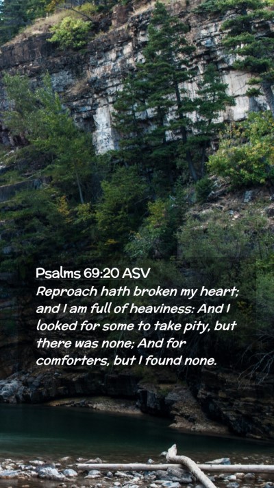 Picture 02 - Psalms 69:20 ASV Mobile Phone Wallpaper - Reproach hath broken my heart; and I am full of - Mobile Bible Verse Wallpaper