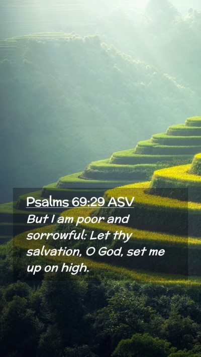 Picture 02 - Psalms 69:29 ASV Mobile Phone Wallpaper - But I am poor and sorrowful: Let thy salvation, O - Mobile Bible Verse Wallpaper