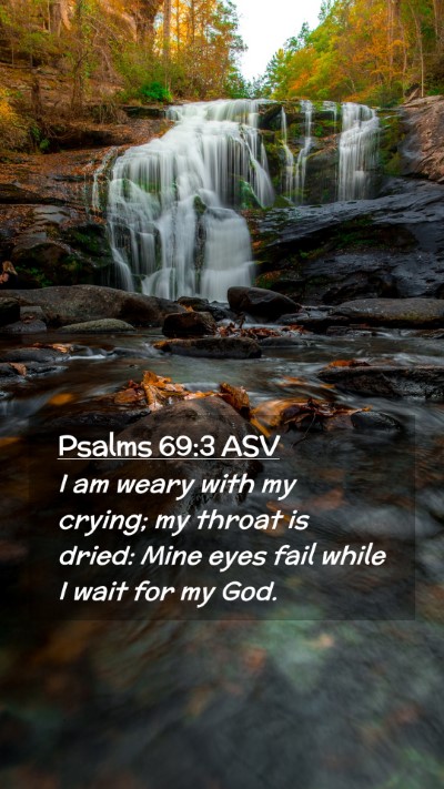 Picture 02 - Psalms 69:3 ASV Mobile Phone Wallpaper - I am weary with my crying; my throat is dried: - Mobile Bible Verse Wallpaper