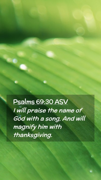 Picture 02 - Psalms 69:30 ASV Mobile Phone Wallpaper - I will praise the name of God with a song, And - Mobile Bible Verse Wallpaper