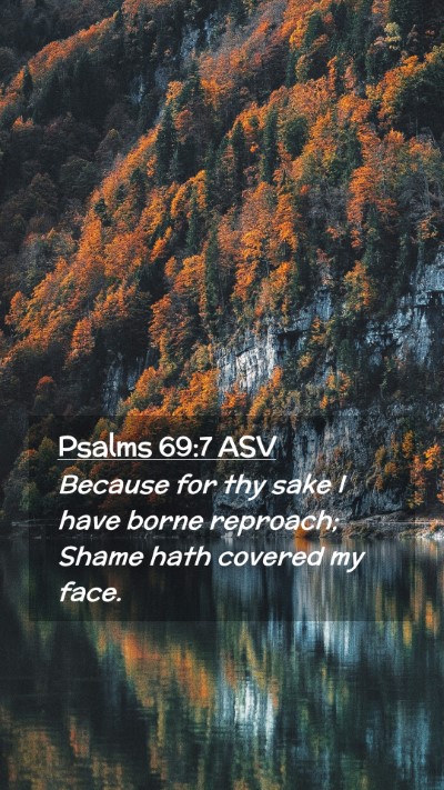 Picture 02 - Psalms 69:7 ASV Mobile Phone Wallpaper - Because for thy sake I have borne reproach; Shame - Mobile Bible Verse Wallpaper