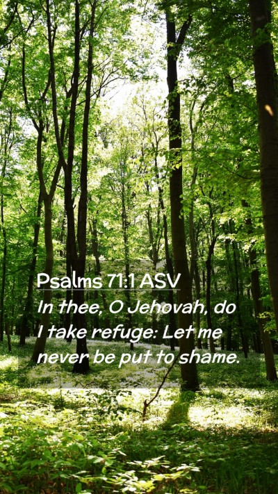 Picture 02 - Psalms 71:1 ASV Mobile Phone Wallpaper - In thee, O Jehovah, do I take refuge: Let me - Mobile Bible Verse Wallpaper