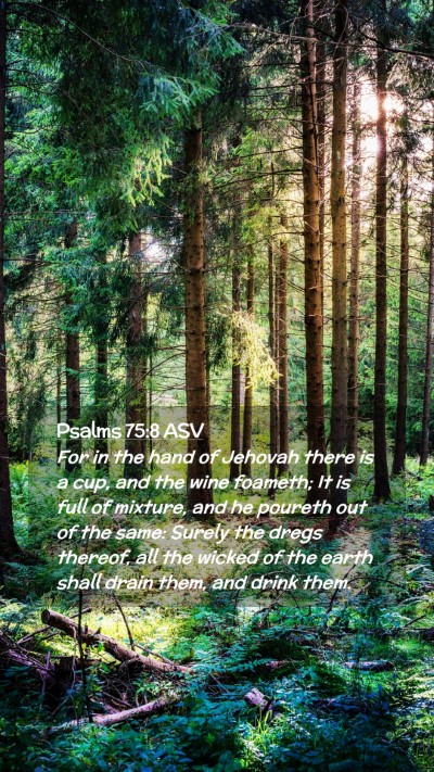 Picture 02 - Psalms 75:8 ASV Mobile Phone Wallpaper - For in the hand of Jehovah there is a cup, and - Mobile Bible Verse Wallpaper