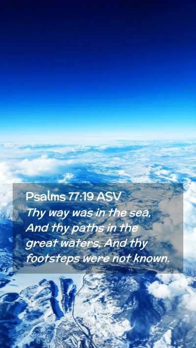 Picture 02 - Psalms 77:19 ASV Mobile Phone Wallpaper - Thy way was in the sea, And thy paths in the - Mobile Bible Verse Wallpaper