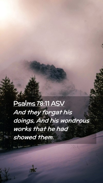 Picture 02 - Psalms 78:11 ASV Mobile Phone Wallpaper - And they forgat his doings, And his wondrous - Mobile Bible Verse Wallpaper
