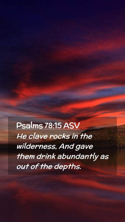 Picture 02 - Psalms 78:15 ASV Mobile Phone Wallpaper - He clave rocks in the wilderness, And gave them - Mobile Bible Verse Wallpaper