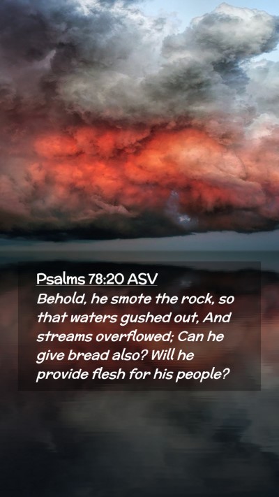 Picture 02 - Psalms 78:20 ASV Mobile Phone Wallpaper - Behold, he smote the rock, so that waters gushed - Mobile Bible Verse Wallpaper