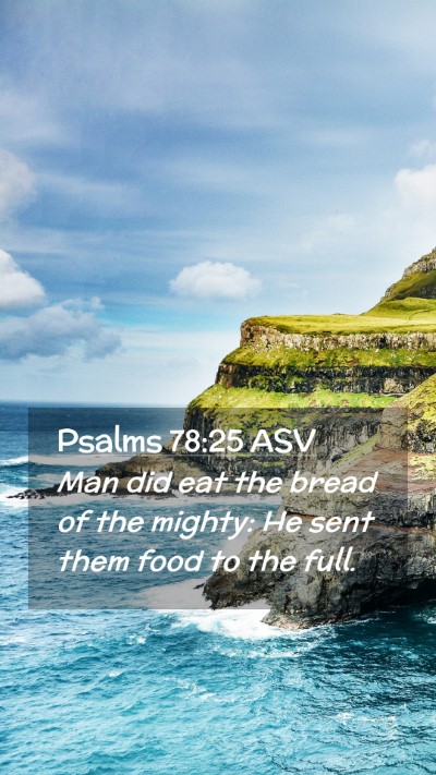 Picture 02 - Psalms 78:25 ASV Mobile Phone Wallpaper - Man did eat the bread of the mighty: He sent them - Mobile Bible Verse Wallpaper