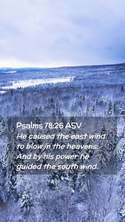 Picture 02 - Psalms 78:26 ASV Mobile Phone Wallpaper - He caused the east wind to blow in the heavens; - Mobile Bible Verse Wallpaper