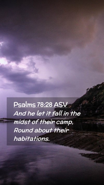 Picture 02 - Psalms 78:28 ASV Mobile Phone Wallpaper - And he let it fall in the midst of their camp, - Mobile Bible Verse Wallpaper