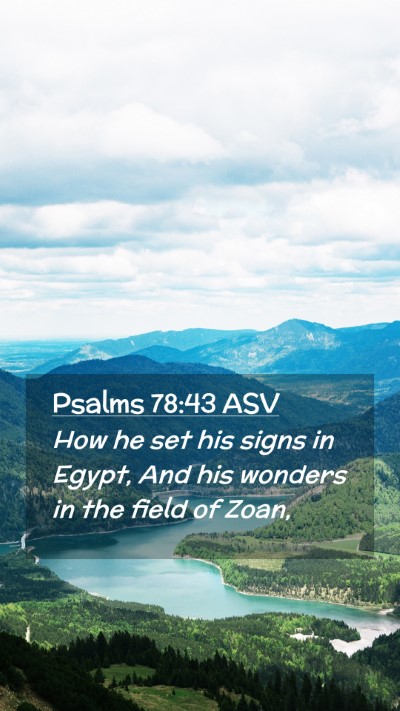Picture 02 - Psalms 78:43 ASV Mobile Phone Wallpaper - How he set his signs in Egypt, And his wonders in - Mobile Bible Verse Wallpaper