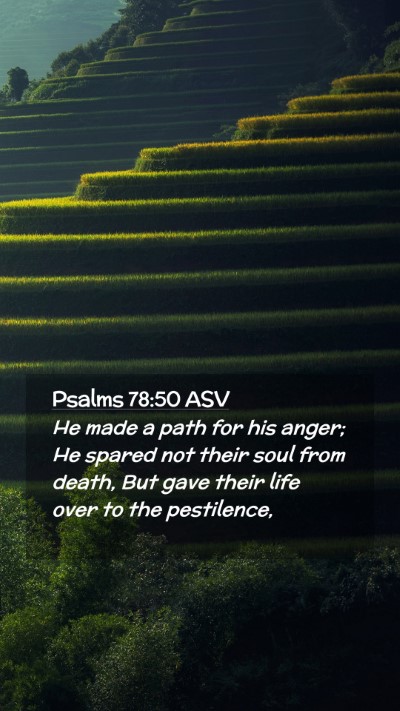 Picture 02 - Psalms 78:50 ASV Mobile Phone Wallpaper - He made a path for his anger; He spared not their - Mobile Bible Verse Wallpaper