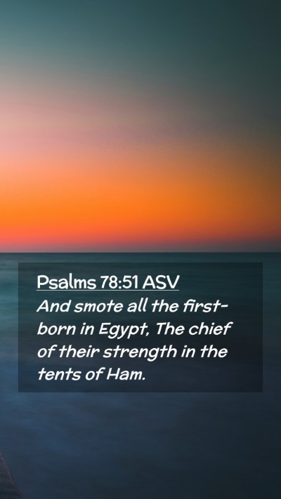 Picture 02 - Psalms 78:51 ASV Mobile Phone Wallpaper - And smote all the first-born in Egypt, The chief - Mobile Bible Verse Wallpaper