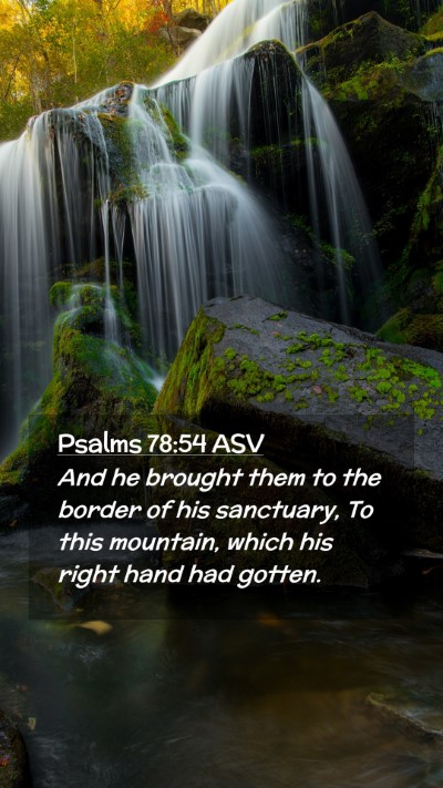Picture 02 - Psalms 78:54 ASV Mobile Phone Wallpaper - And he brought them to the border of his - Mobile Bible Verse Wallpaper