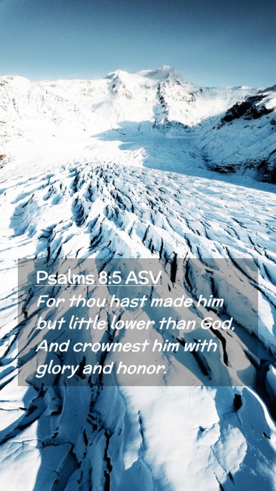 Picture 02 - Psalms 8:5 ASV Mobile Phone Wallpaper - For thou hast made him but little lower than God, - Mobile Bible Verse Wallpaper