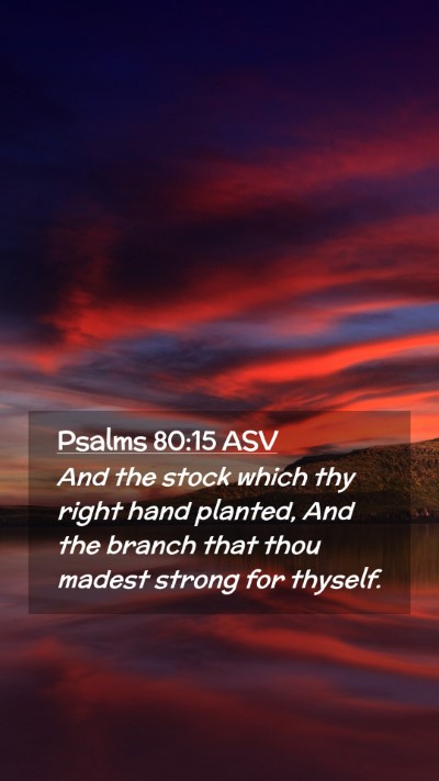 Picture 02 - Psalms 80:15 ASV Mobile Phone Wallpaper - And the stock which thy right hand planted, And - Mobile Bible Verse Wallpaper