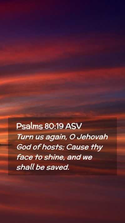 Picture 02 - Psalms 80:19 ASV Mobile Phone Wallpaper - Turn us again, O Jehovah God of hosts; Cause thy - Mobile Bible Verse Wallpaper
