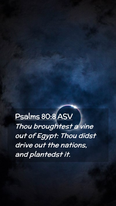 Picture 02 - Psalms 80:8 ASV Mobile Phone Wallpaper - Thou broughtest a vine out of Egypt: Thou didst - Mobile Bible Verse Wallpaper