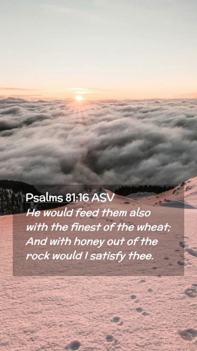 Picture 02 - Psalms 81:16 ASV Mobile Phone Wallpaper - He would feed them also with the finest of the - Mobile Bible Verse Wallpaper