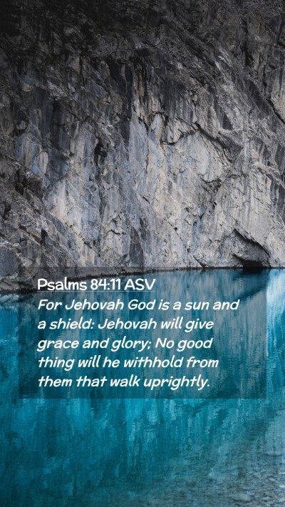 Picture 02 - Psalms 84:11 ASV Mobile Phone Wallpaper - For Jehovah God is a sun and a shield: Jehovah - Mobile Bible Verse Wallpaper