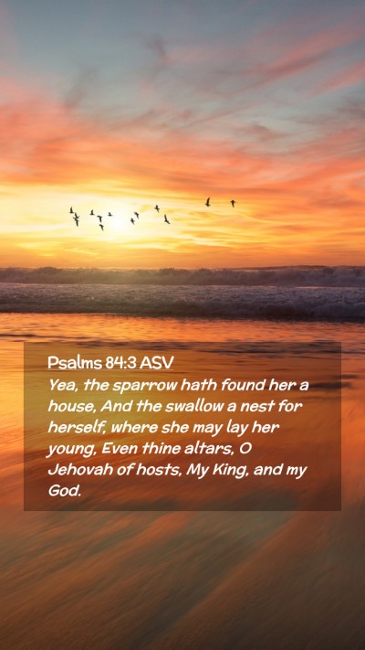 Picture 02 - Psalms 84:3 ASV Mobile Phone Wallpaper - Yea, the sparrow hath found her a house, And the - Mobile Bible Verse Wallpaper