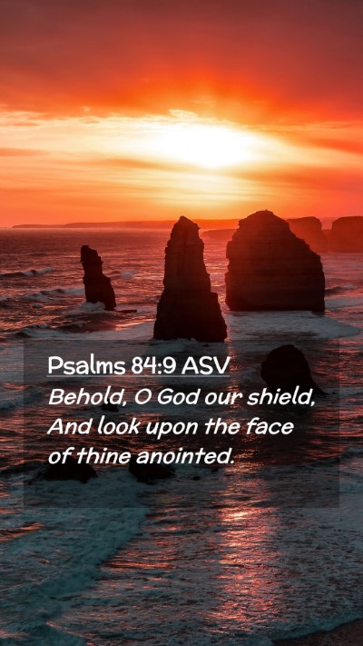 Picture 02 - Psalms 84:9 ASV Mobile Phone Wallpaper - Behold, O God our shield, And look upon the face - Mobile Bible Verse Wallpaper