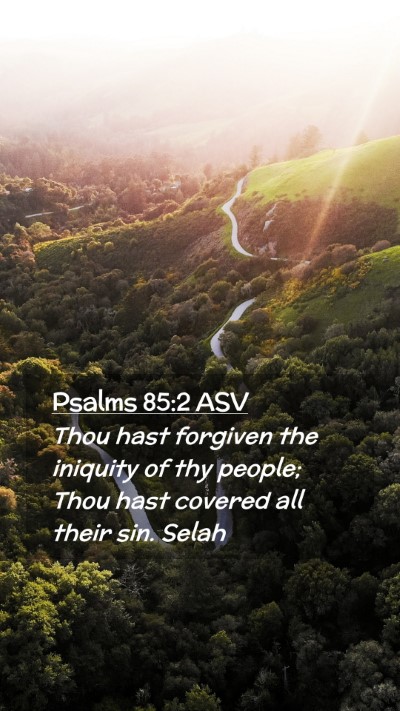 Picture 02 - Psalms 85:2 ASV Mobile Phone Wallpaper - Thou hast forgiven the iniquity of thy people; - Mobile Bible Verse Wallpaper