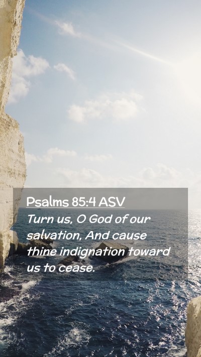 Picture 02 - Psalms 85:4 ASV Mobile Phone Wallpaper - Turn us, O God of our salvation, And cause thine - Mobile Bible Verse Wallpaper