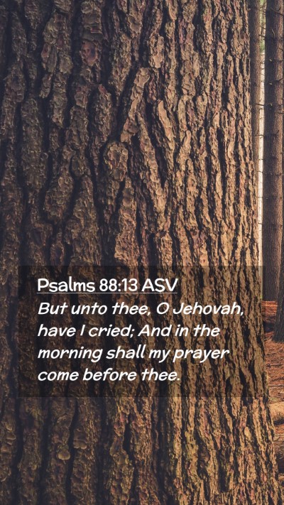 Picture 02 - Psalms 88:13 ASV Mobile Phone Wallpaper - But unto thee, O Jehovah, have I cried; And in - Mobile Bible Verse Wallpaper