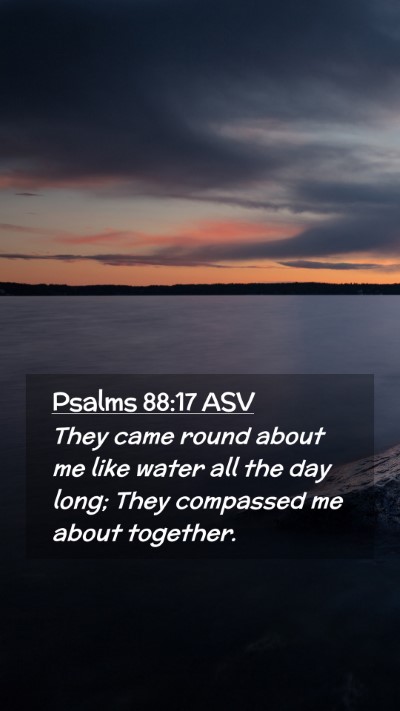 Picture 02 - Psalms 88:17 ASV Mobile Phone Wallpaper - They came round about me like water all the day - Mobile Bible Verse Wallpaper