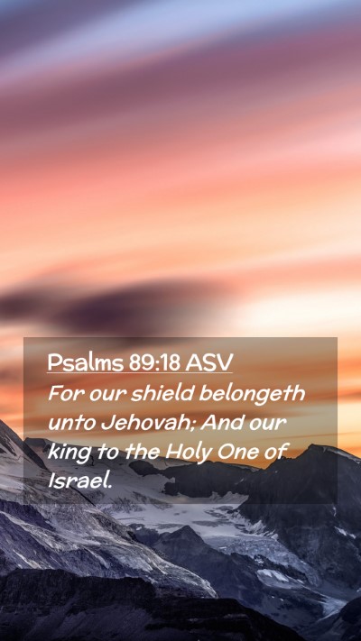 Picture 02 - Psalms 89:18 ASV Mobile Phone Wallpaper - For our shield belongeth unto Jehovah; And our - Mobile Bible Verse Wallpaper