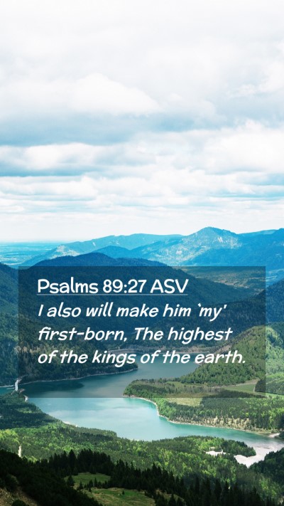 Picture 02 - Psalms 89:27 ASV Mobile Phone Wallpaper - I also will make him `my' first-born, The highest - Mobile Bible Verse Wallpaper