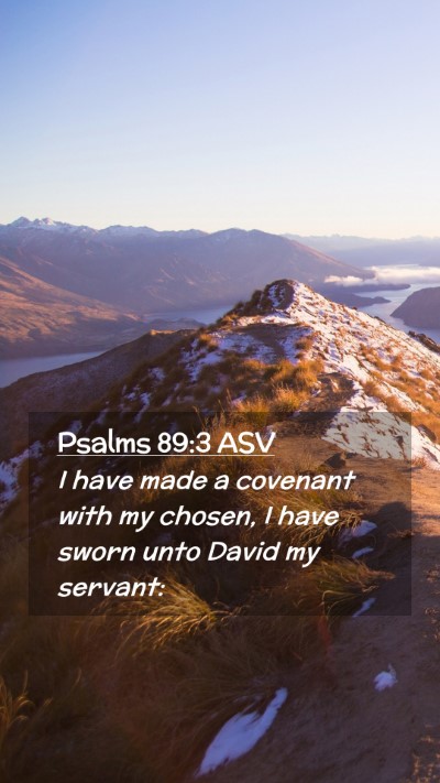 Picture 02 - Psalms 89:3 ASV Mobile Phone Wallpaper - I have made a covenant with my chosen, I have - Mobile Bible Verse Wallpaper