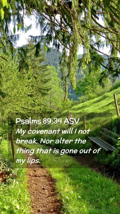 Picture 02 - Psalms 89:34 ASV Mobile Phone Wallpaper - My covenant will I not break, Nor alter the thing - Mobile Bible Verse Wallpaper