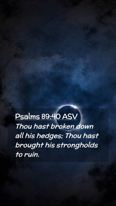Picture 02 - Psalms 89:40 ASV Mobile Phone Wallpaper - Thou hast broken down all his hedges; Thou hast - Mobile Bible Verse Wallpaper