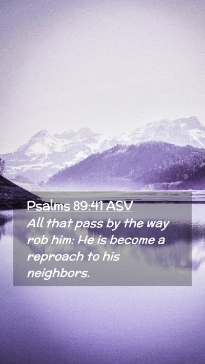 Picture 02 - Psalms 89:41 ASV Mobile Phone Wallpaper - All that pass by the way rob him: He is become a - Mobile Bible Verse Wallpaper
