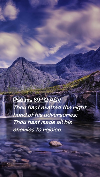 Picture 02 - Psalms 89:42 ASV Mobile Phone Wallpaper - Thou hast exalted the right hand of his - Mobile Bible Verse Wallpaper